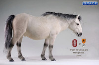 1/6 Scale white Mongolica Horse