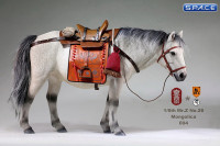 1/6 Scale white Mongolica Horse