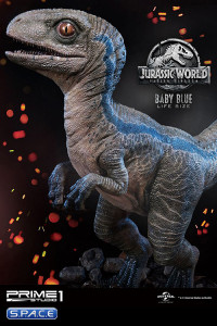 1/1 Scale Baby Blue Legacy Museum Collection Statue (Jurassic World: Fallen Kingdom)