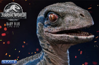 1/1 Scale Baby Blue Legacy Museum Collection Statue (Jurassic World: Fallen Kingdom)