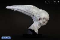 1:1 Neomorph Life-Size Head (Alien: Covenant)