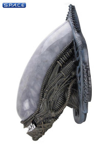 Alien Wall Mounted Bust Foam Replica (Alien)