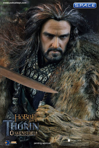 1/6 Scale Thorin Oakenshield (The Hobbit)