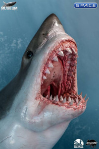 Great White Shark Carcharodon Carcharias Statue (Museum Series)