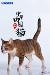 1/6 Scale white & brown tabby Cat