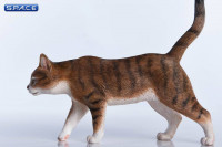 1/6 Scale white & brown tabby Cat