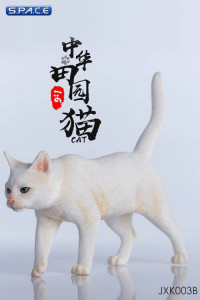 1/6 Scale white Cat