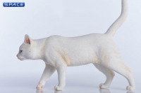 1/6 Scale white Cat