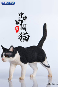1/6 Scale tuxedo Cat