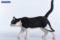 1/6 Scale tuxedo Cat