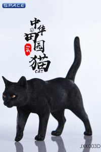 1/6 Scale black Cat