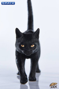 1/6 Scale black Cat