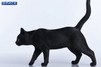 1/6 Scale black Cat