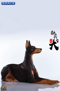 1/6 Scale lying brown Doberman