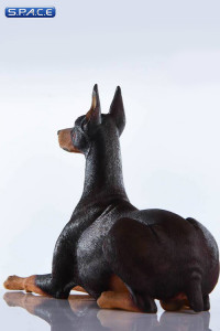 1/6 Scale lying brown Doberman