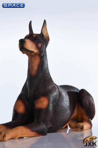 1/6 Scale lying brown Doberman