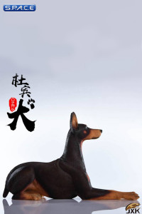 1/6 Scale lying brown Doberman