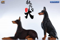 1/6 Scale lying brown Doberman