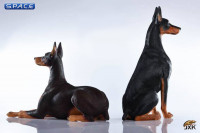 1/6 Scale lying brown Doberman