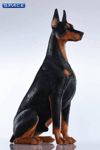 1/6 Scale sitting brown Doberman