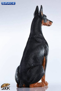 1/6 Scale sitting brown Doberman