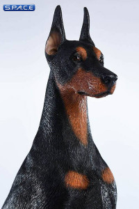 1/6 Scale sitting brown Doberman