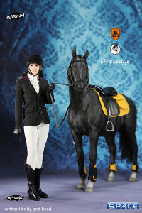 1/6 Scale black Horse and Dressage Outfit Set