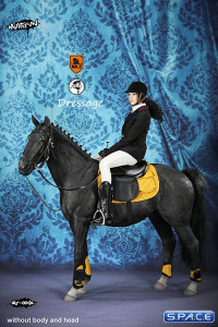 1/6 Scale black Horse and Dressage Outfit Set
