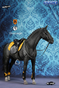 1/6 Scale black Horse and Dressage Outfit Set