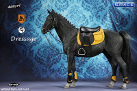 1/6 Scale black Horse and Dressage Outfit Set