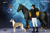 1/6 Scale black Horse and Dressage Outfit Set