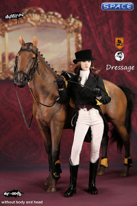 1/6 Scale brown Horse and Dressage Outfit Set