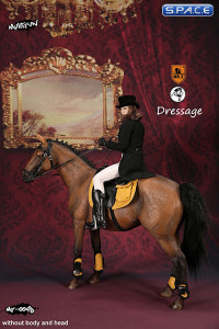 1/6 Scale brown Horse and Dressage Outfit Set