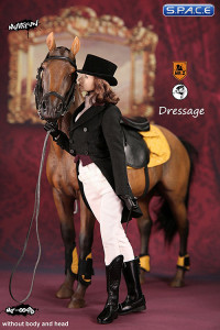 1/6 Scale brown Horse and Dressage Outfit Set
