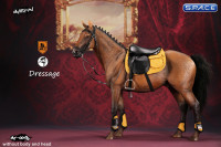 1/6 Scale brown Horse and Dressage Outfit Set