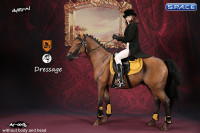 1/6 Scale brown Horse and Dressage Outfit Set