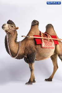 1/6 Scale brown Camel