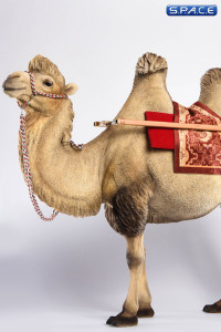 1/6 Scale sand Camel