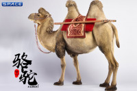 1/6 Scale sand Camel