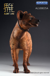 1/6 Scale dark spotted Hyena