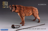 1/6 Scale dark spotted Hyena