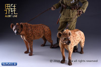 1/6 Scale light spotted Hyena