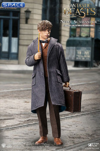 1/6 Scale Newt Scamander Grey Coat Version (Fantasic Beasts: The Crimes of Grindelwald)