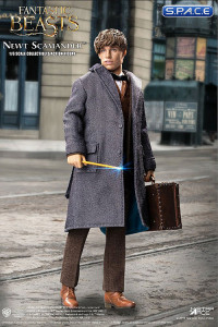 1/6 Scale Newt Scamander Grey Coat Version (Fantasic Beasts: The Crimes of Grindelwald)