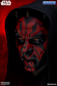 1:1 Darth Maul Life-Size Bust (Star Wars)