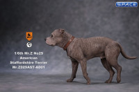 1/6 Scale walking brindle American Staffordshire Terrier