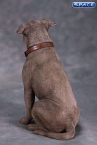 1/6 Scale sitting brindle American Staffordshire Terrier