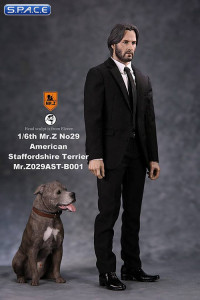 1/6 Scale sitting brindle American Staffordshire Terrier