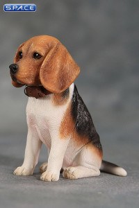 1/6 Scale red face tri-color Beagle Puppy