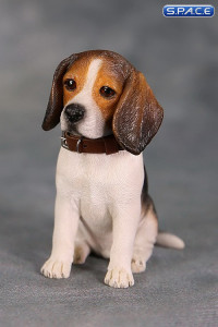 1/6 Scale tri-color Beagle Puppy